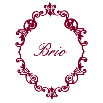 Logo Brio Boutique Eve